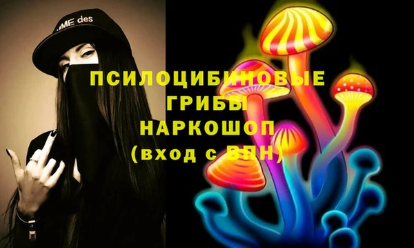первитин Алексин