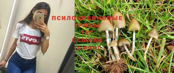 кокаин колумбия Алзамай
