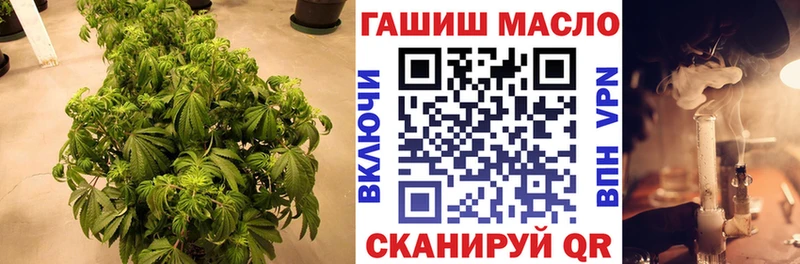 гидра tor  Олонец  Дистиллят ТГК вейп с тгк 