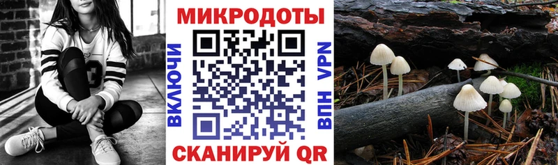 где можно купить наркотик  Олонец  Псилоцибиновые грибы ЛСД 